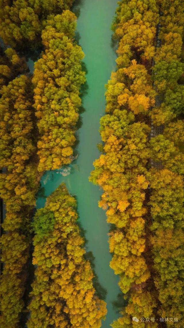 10月,再见;11月,你好!