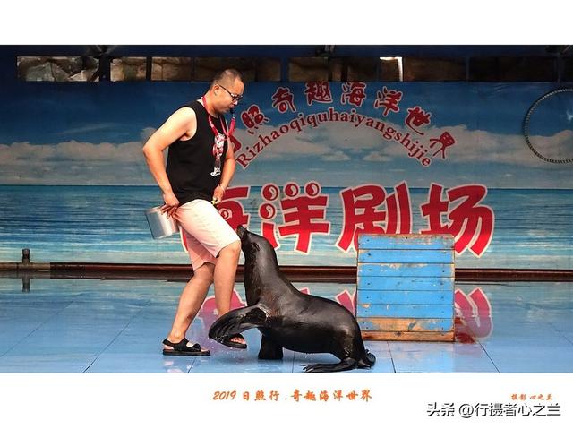 山东行游影记（92）—日照奇趣海洋世界（三）