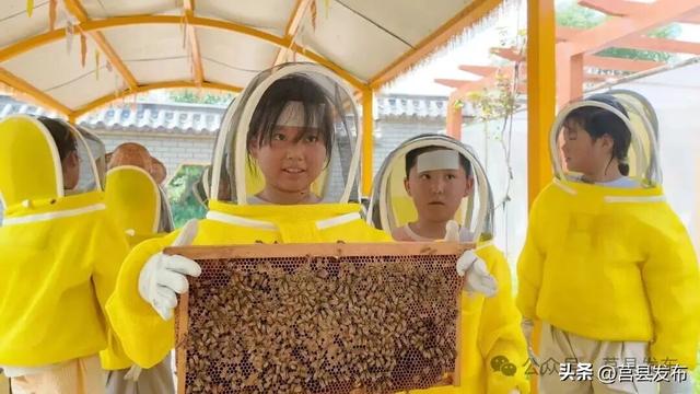 莒县有片刷爆朋友圈的粉色花海，在哪？
