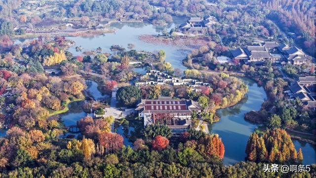 江苏扬州的冬天美得像一幅画！