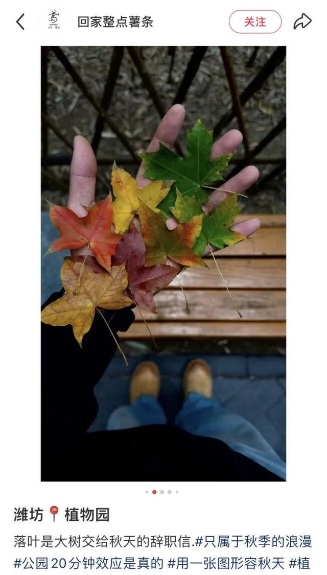 我捡，我捡，我在潍坊捡捡捡！