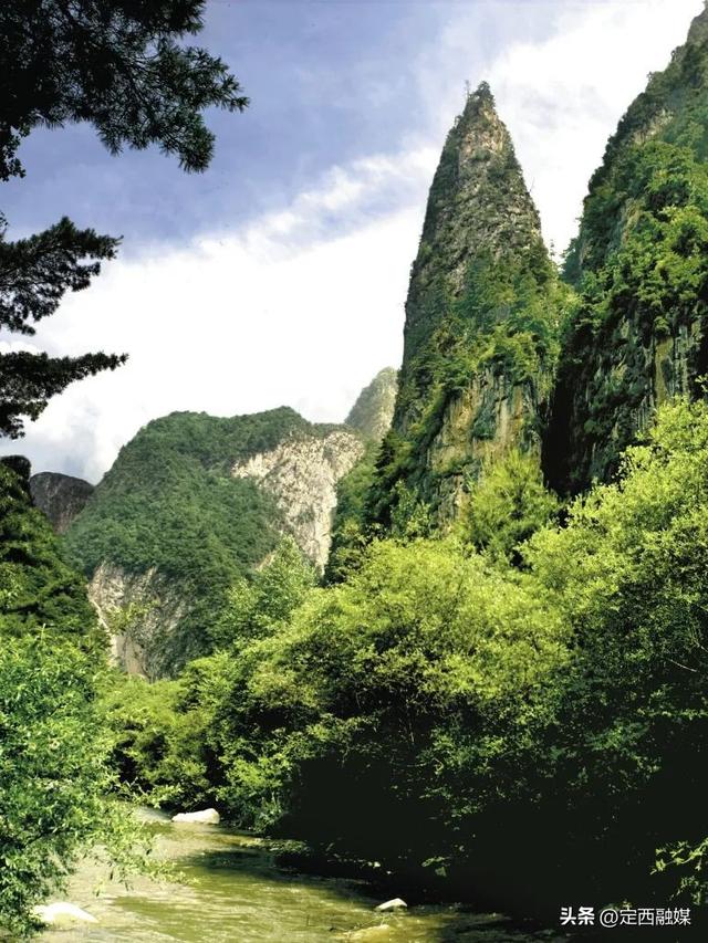舒适度满分！扎进漳县，沉醉于20℃的清凉夏日！