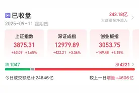 A股大涨！“易中天”涨超13CM图片