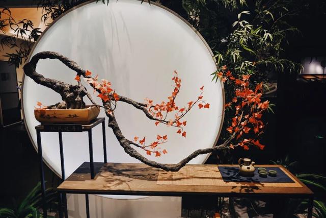 一到秋天，南京就美成了金陵