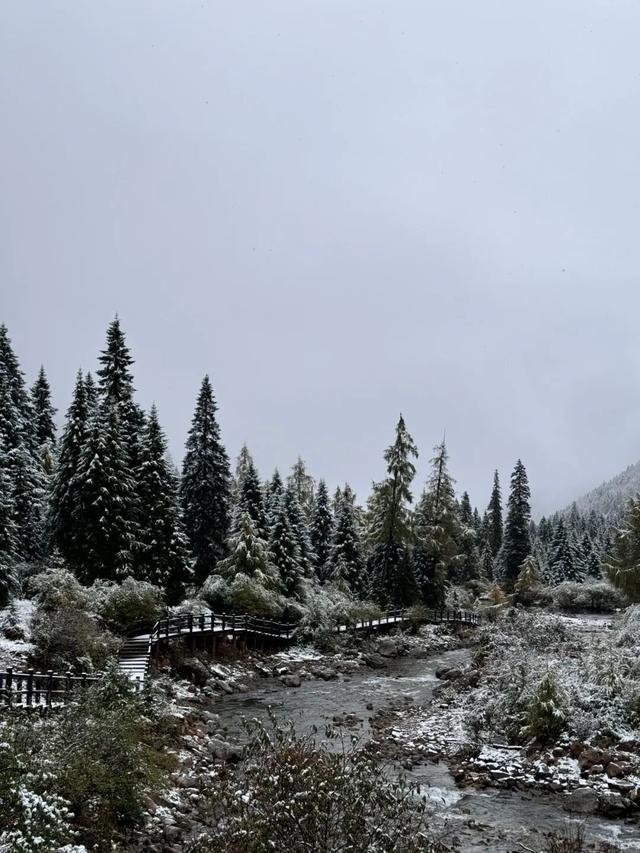 达古冰川下雪啦！雪域浪漫+烟火温柔，攻略请收好！