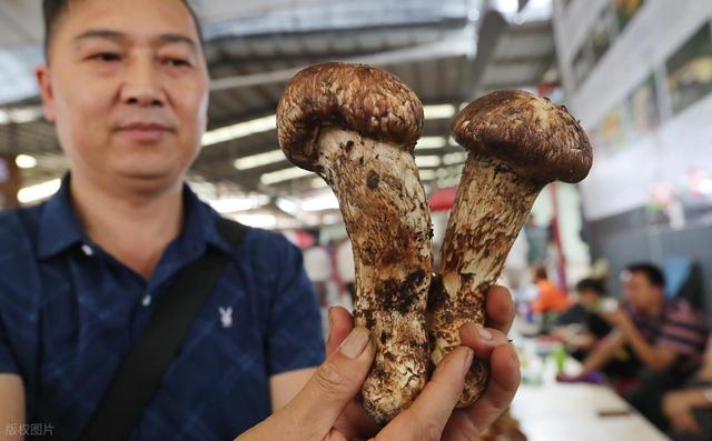国内最被低估的宜居城市之一，不是大理，不是昆明，而是楚雄！