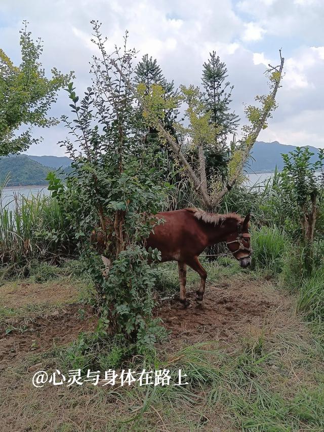 宁波东出发，一天玩转三门七个小众景点，随手一拍就是桌面壁纸。