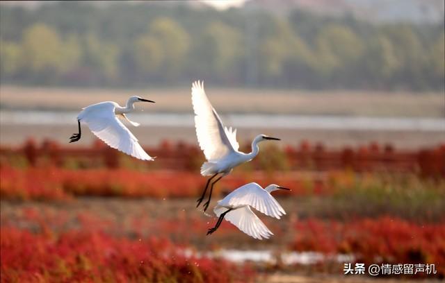 别再卷热搜了！这座“隐形”小城，游客少一半，收入却暴涨38%！