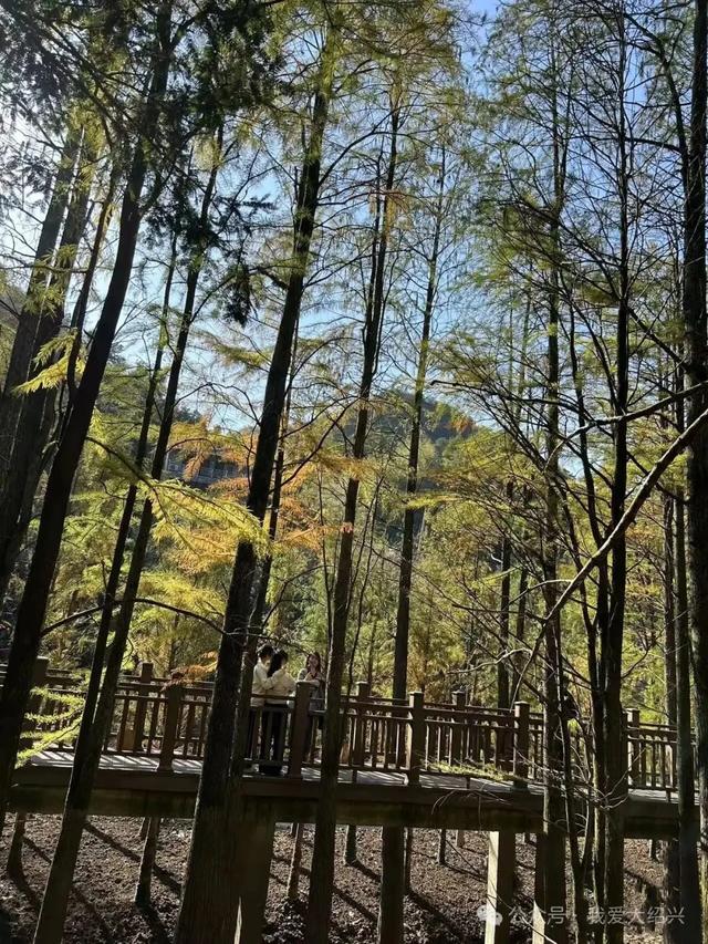 绍兴雪窦岭，竟然变成了这样……最近要去的，赶紧看！