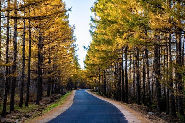 从湖南去了一趟伊春，实话实说，回来才发现朋友圈都是骗人的？