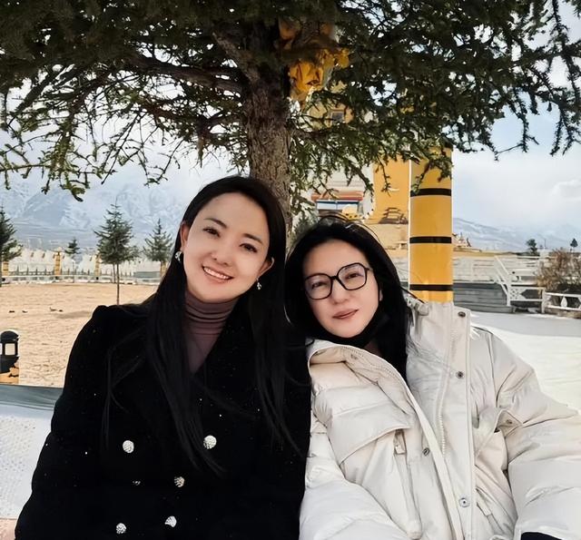 落毛凤凰不如鸡！49岁赵薇再曝近况，全身包裹严实 不敢露脸怕见人