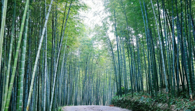 旅行想省钱还想美？国内 "撞脸景观"出炉，人少景美性价比拉满