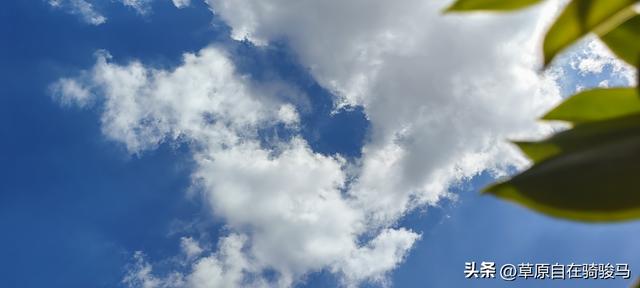 《晨起一个小动作：意能让上中老年人身体越来越好，快试试》
