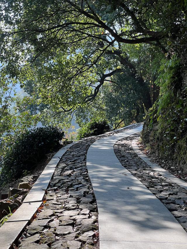 上天竺到云栖竹径，徒步9公里，感受一路秋意。