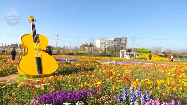 “Color Walk”火了!在昆明,用颜色解锁一座城