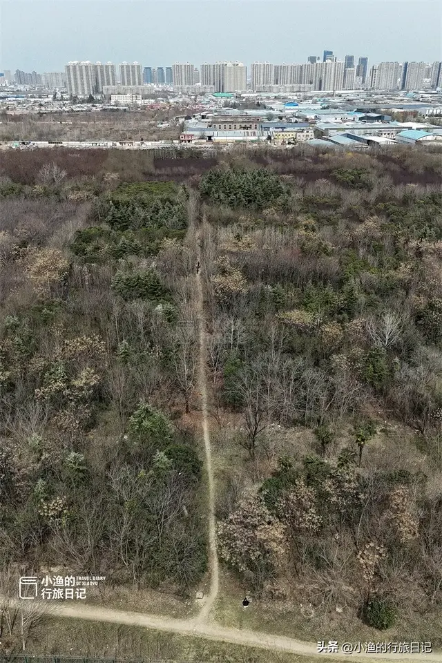 西安“天下第一宫”，是世界最大宫殿基址，面积相当2/3个故宫