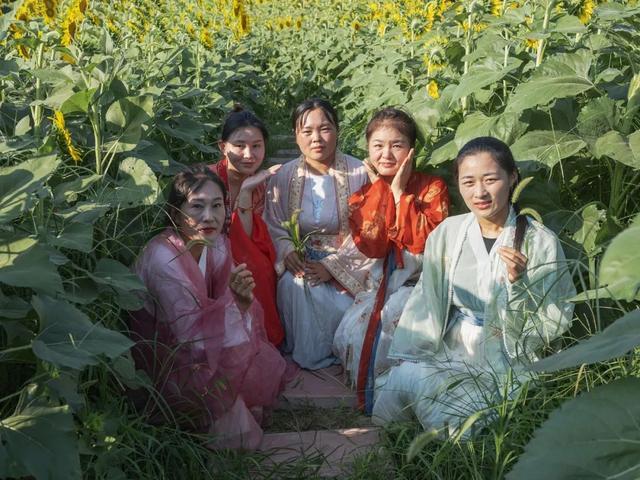 玩转济宁·景景有fun丨羊山古镇军事旅游区向日葵花海