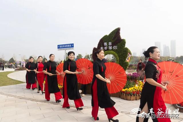 这个秋天，来武汉经开区共赴一场菊花之约