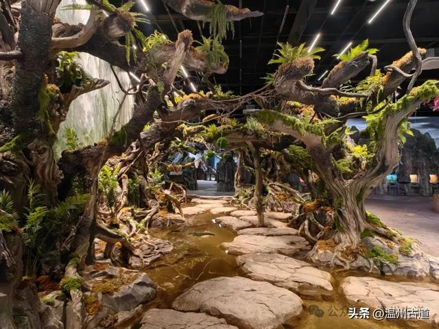 温州这个以畲族始祖命名的4A级景区,秘藏着一座“生物王国”!