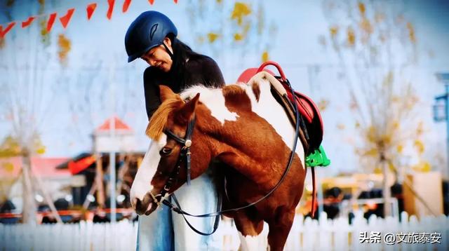 -10°C也拦不住!被窝里哪有马背上潇洒?小泰成功解锁泰安冬季最野玩法!