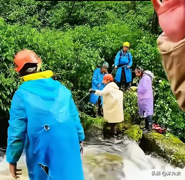 苍山自闭男孩遇难！离走失点一公里，知情人发声，难怪迟迟找不到