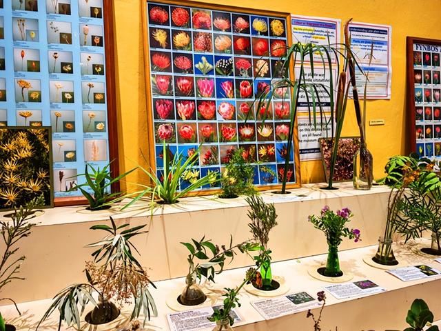 非洲旅游：难忘南非观光之旅纪行（图）