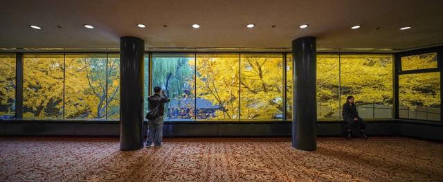 你会怀念这个秋天吗？