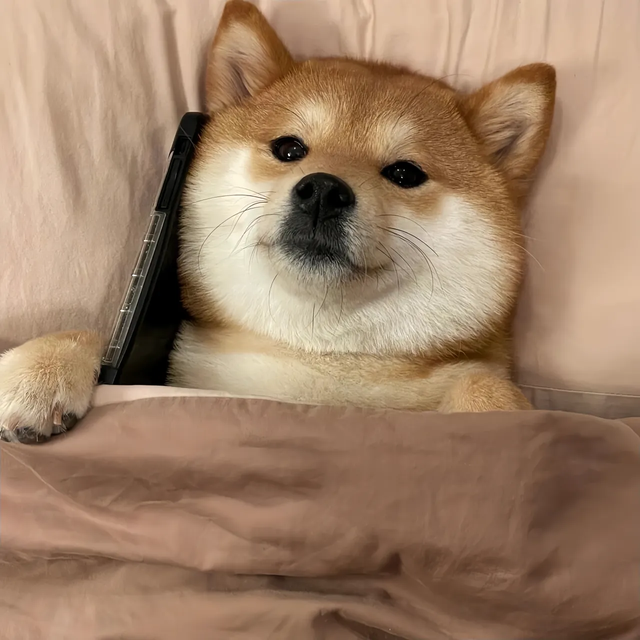 “降温了，发一条不一样的朋友圈”🧡