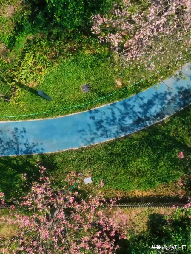 “这样City Ride真的过于舒适了吧~”