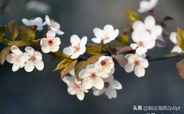 当年计划生育是谁提出来的?你万万想不到