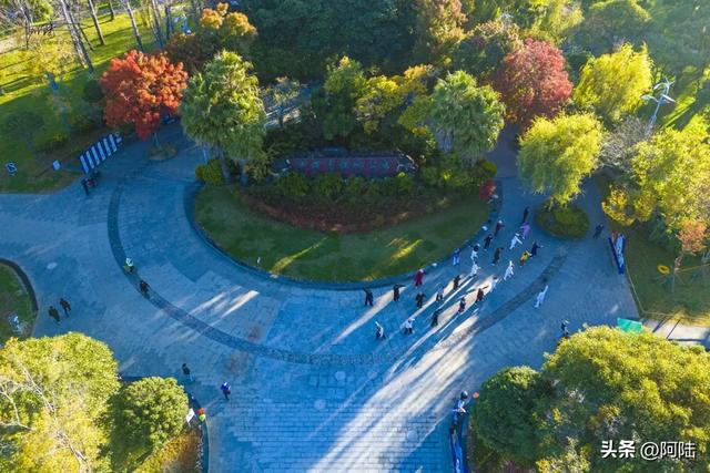 寻找大理海西的最美绿道,色彩缤纷秋意盎然,目测已经开始落叶啦