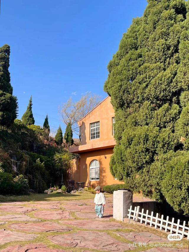 比大理浪漫！比昆明更近！高铁直达阳光小城，2万株蓝花楹美疯！观海登山，美食吃到爽！