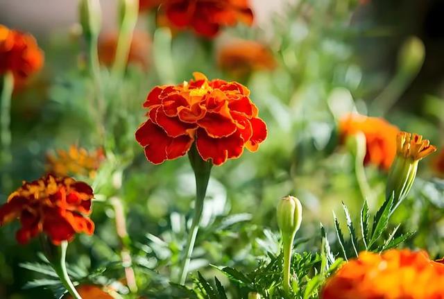 情感爆文:《爱一个人，就是愿意为他改变》