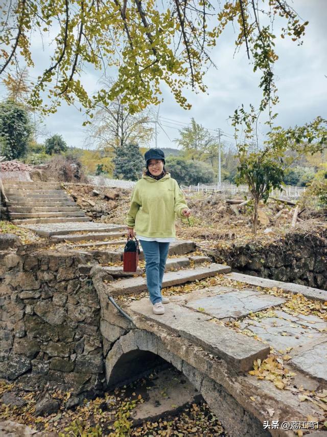 游长岗岭古村，观飘黄银杏