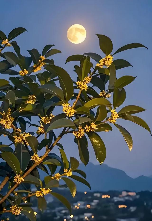 甘海斌：咏花诗词五首