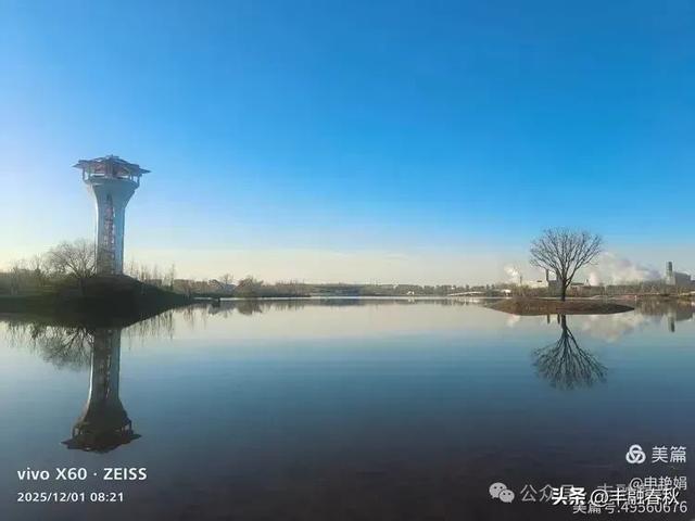 初冬北京朝阳坝河金盏淀:清寒里的静美画卷|申艳娟