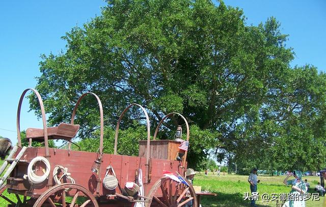 美国记忆之独立日纪念