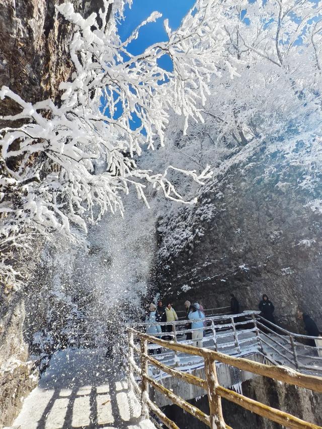 梦幻雪景天花板！龙头山冬日冰雪秘境太绝了！