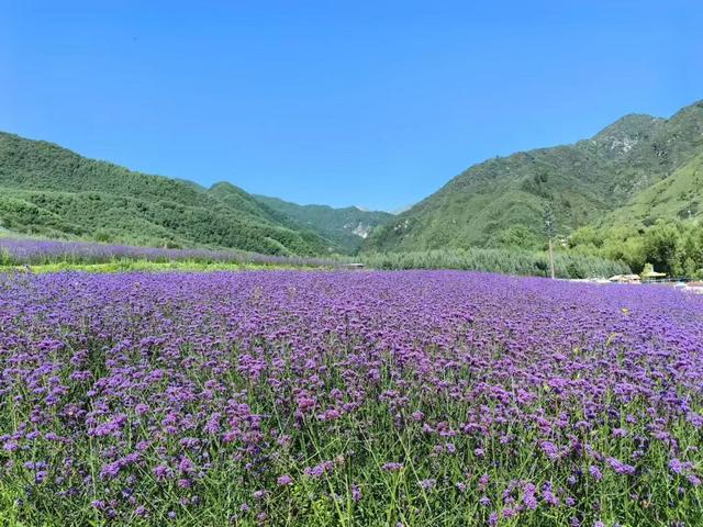“东方庞贝”，喇家遗址