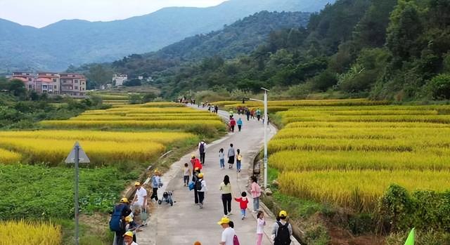 百鸡宴、音乐会、梯田徒步……这周末，肇庆这里超好玩