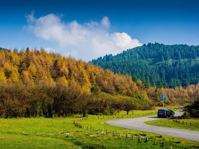 【雄奇山水 冬韵武隆】彩叶织锦·山野层林映画