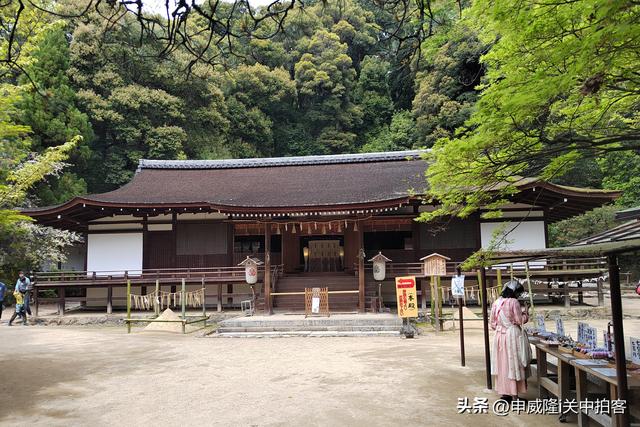 日本京都：走进宇治上神社