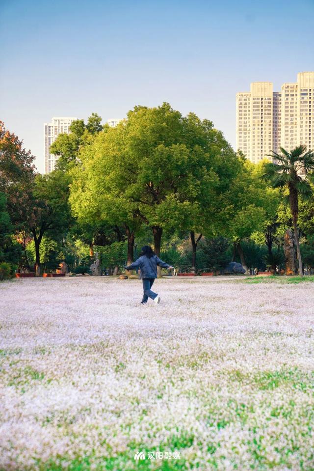 汉阳，变色……了