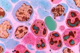 人体细胞知多少？图片