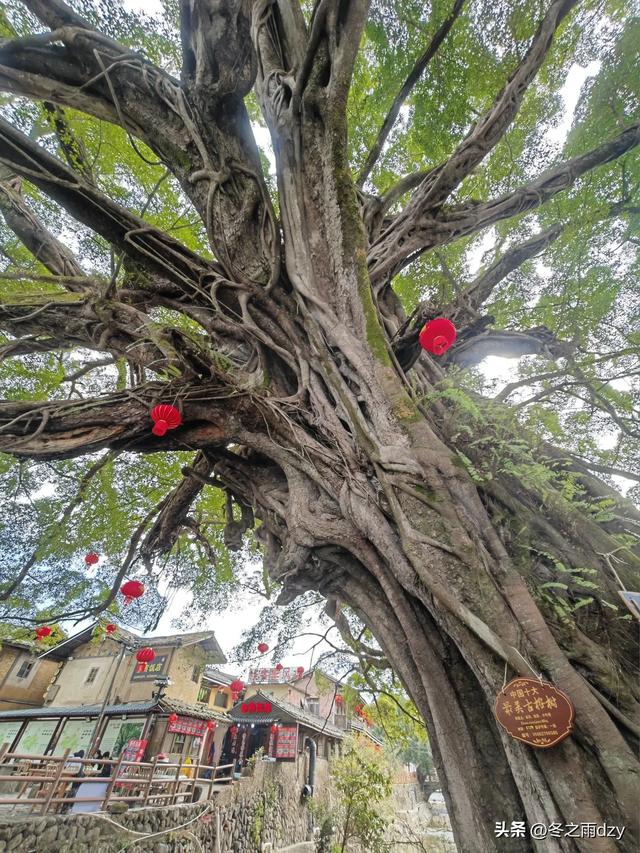 土楼拾光②:福建土楼景区——云水谣片区(2025.2.10 漳州·南靖)