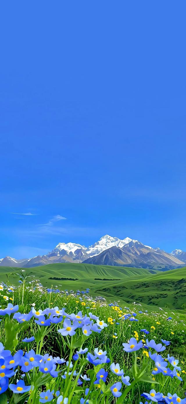 手机壁纸|清新的自然美景，风光无限