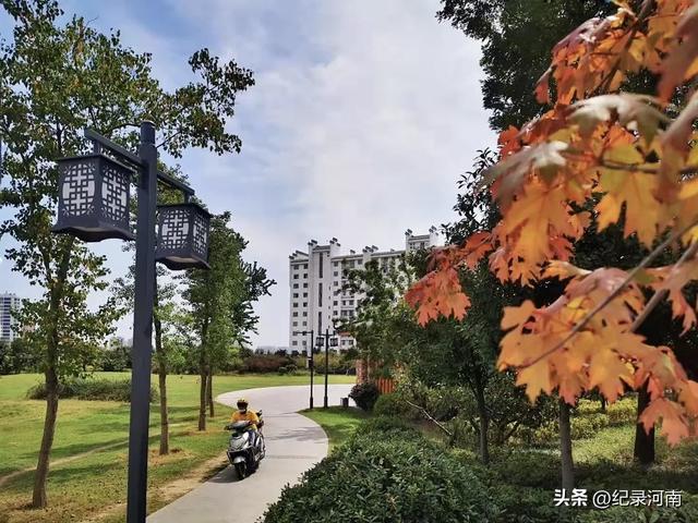国庆节旅游黄金周足不出“柘”，邂逅秋日浪漫