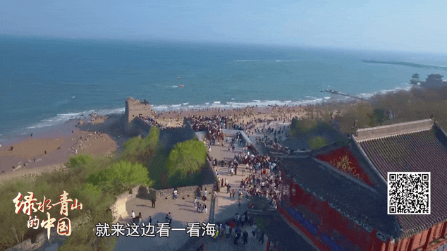 绿水青山的中国丨碧海生金！旧码头蝶变新地标