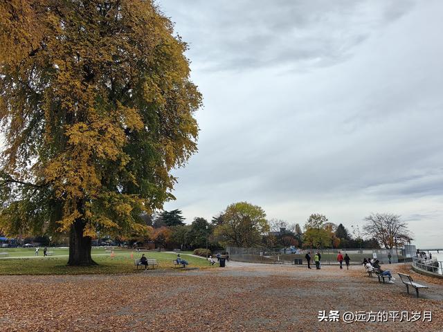 温哥华游记（五）