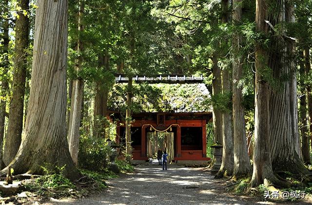 说起冬季日本看雪，难道只有北海道吗？